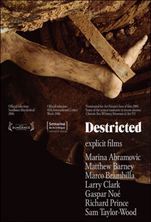 Cover van Destricted