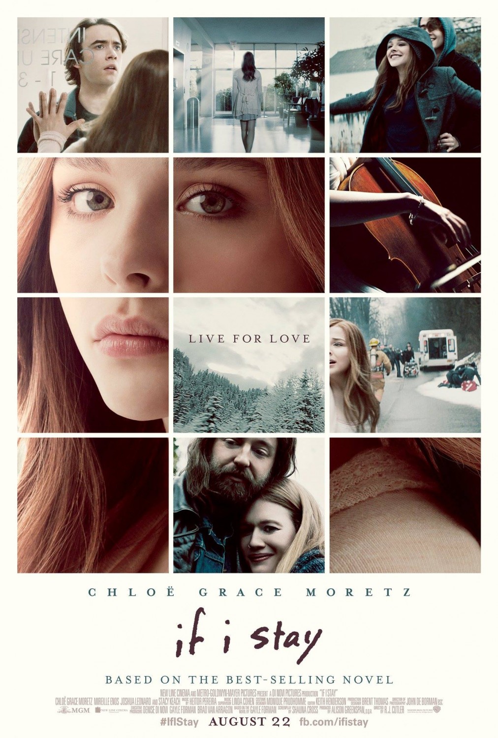 Cover van If I Stay