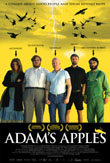 Cover van Adams bler