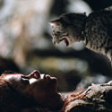 Alexander of Catwoman slechtste film van 2004?