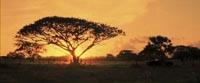 A romantic sundown