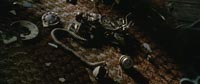 The broken phone