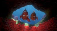 Marlin & Coral