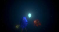 Dory & Nemo