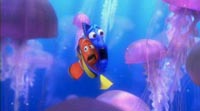 Marlin & Dory enclosed by jelly fish